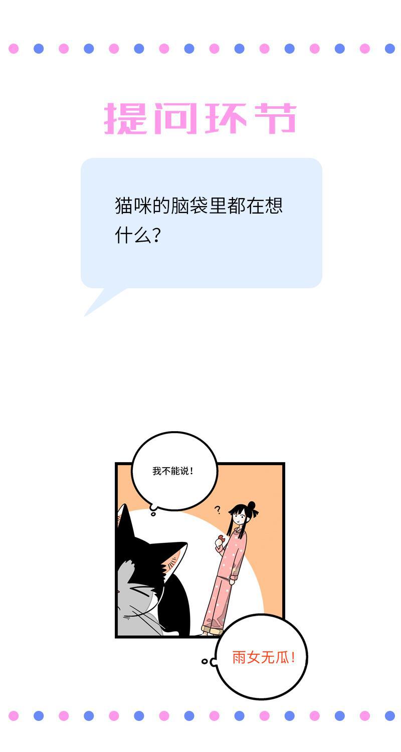 周一至周末韩漫全集-第11话 一只特立独行的猫无删减无遮挡章节图片 