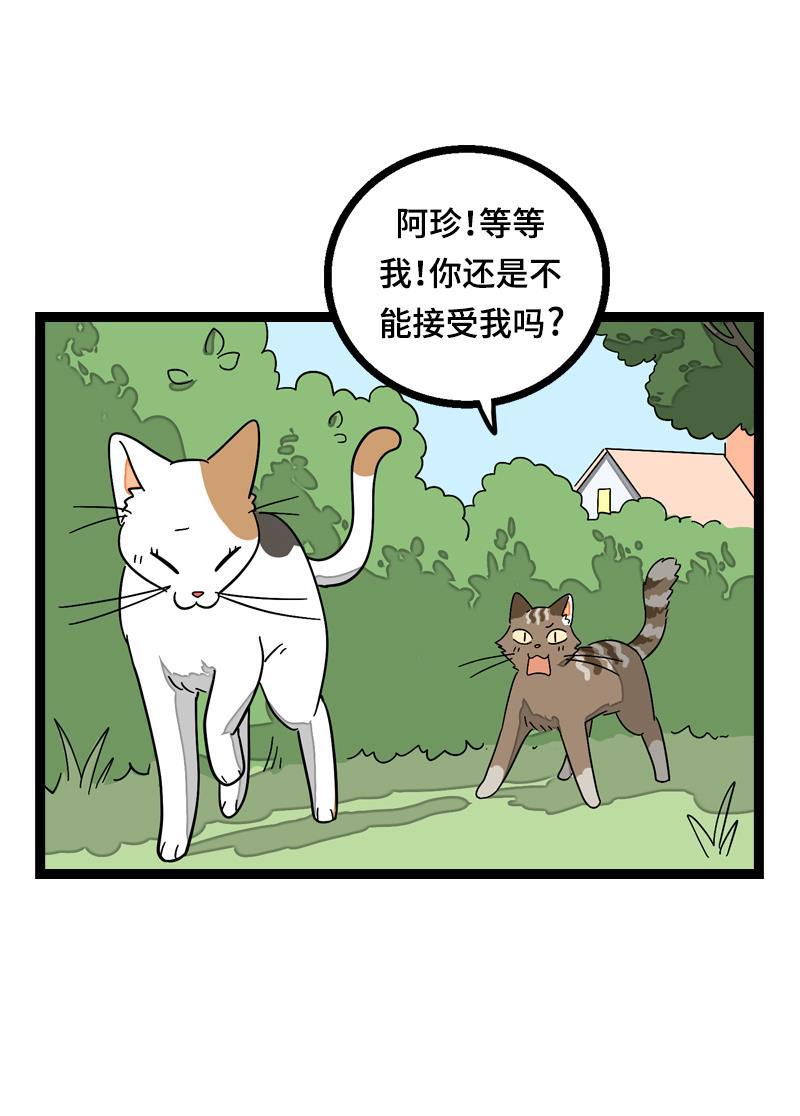 周一至周末韩漫全集-第20话 家庭地位无删减无遮挡章节图片 