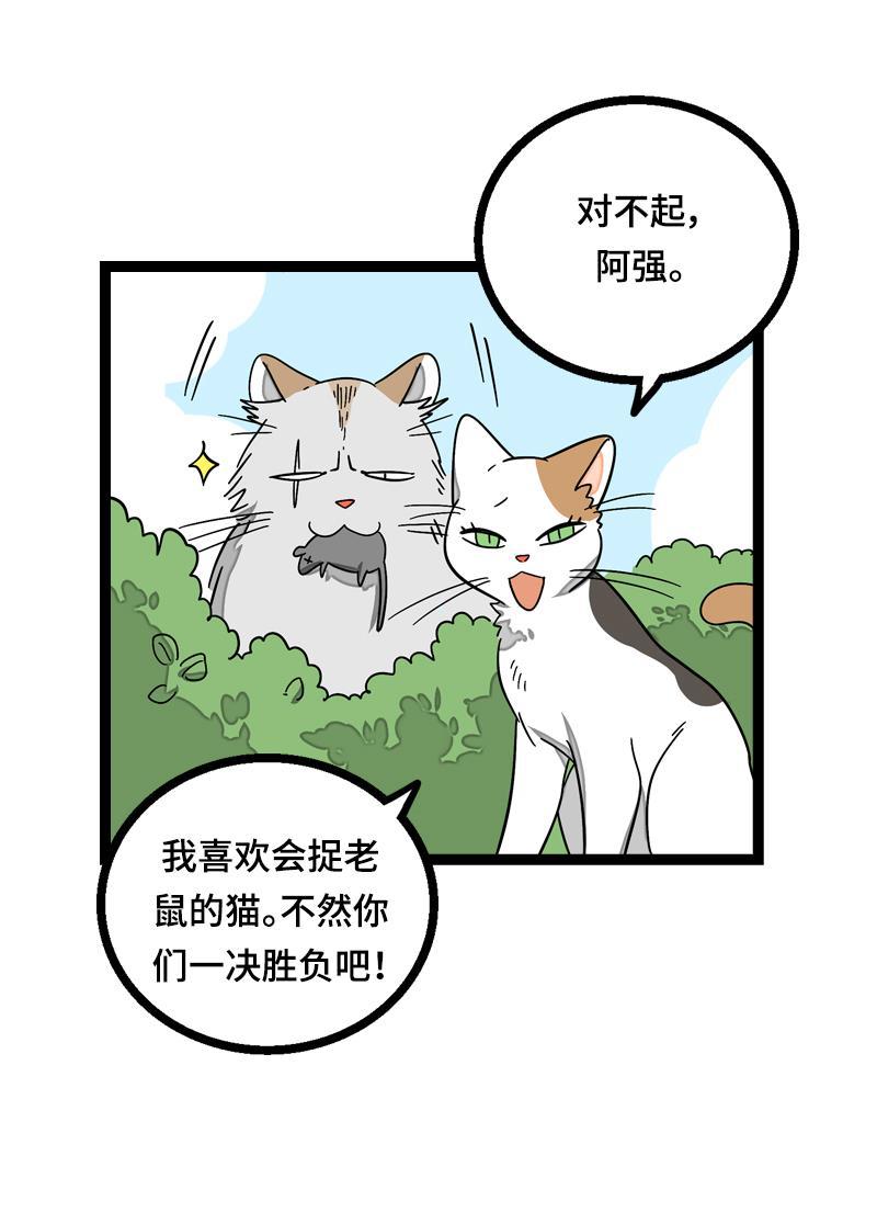 周一至周末韩漫全集-第20话 家庭地位无删减无遮挡章节图片 