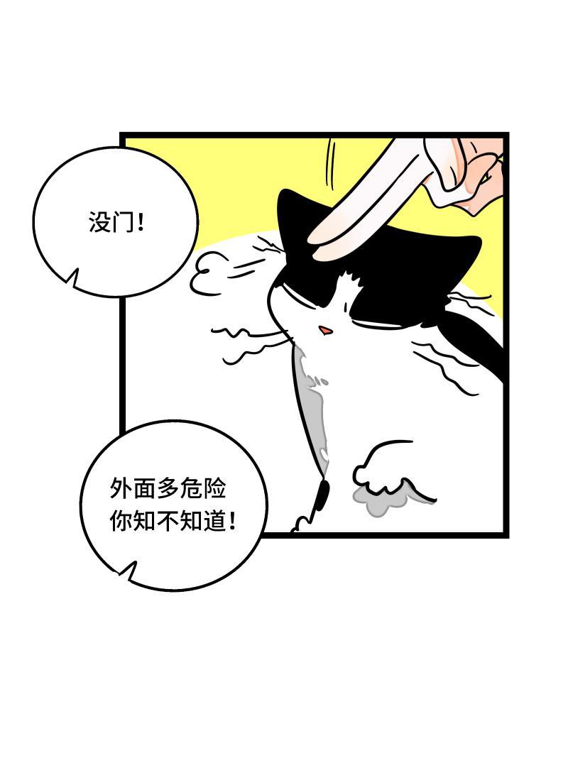 周一至周末韩漫全集-第56话 舆论无删减无遮挡章节图片 