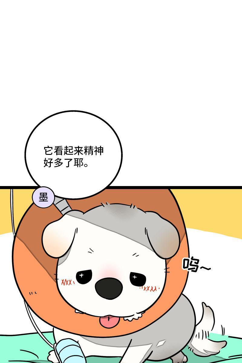 星太奇漫画全集-第70话 幸运的小狗全彩韩漫标签