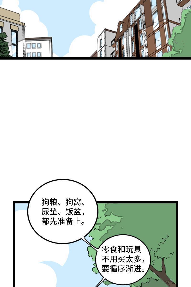 周一至周末韩漫全集-第70话 幸运的小狗无删减无遮挡章节图片 
