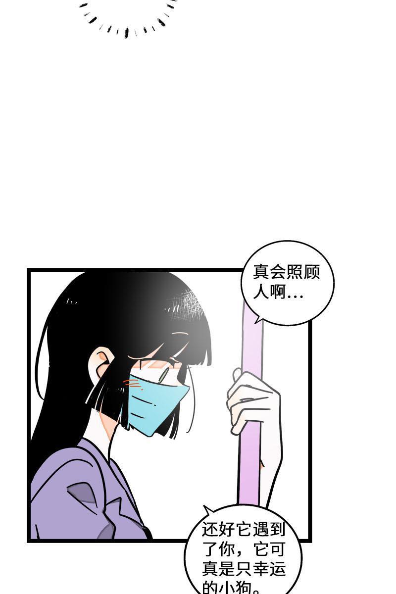 周一至周末韩漫全集-第70话 幸运的小狗无删减无遮挡章节图片 