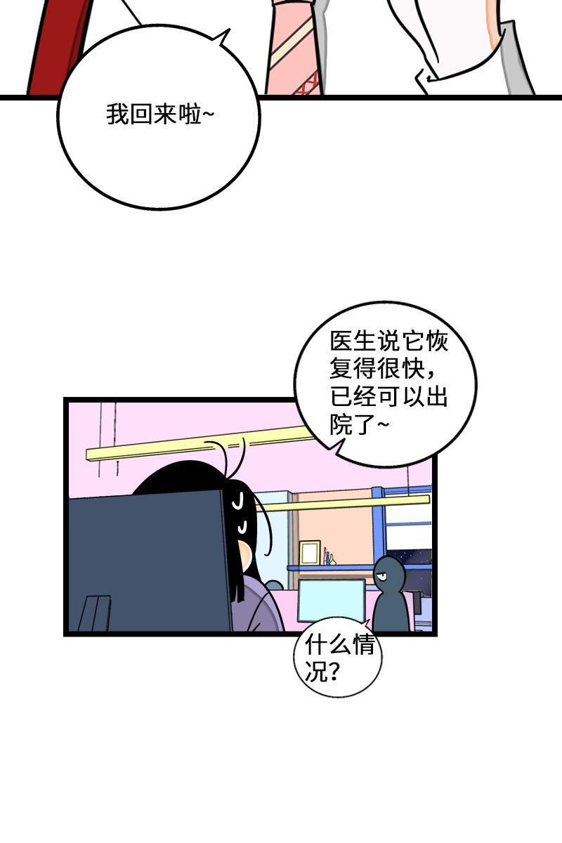 周一至周末韩漫全集-第70话 幸运的小狗无删减无遮挡章节图片 