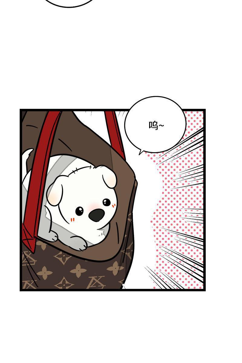 周一至周末韩漫全集-第70话 幸运的小狗无删减无遮挡章节图片 