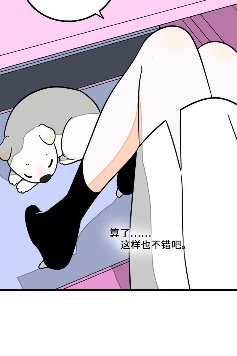 周一至周末韩漫全集-第70话 幸运的小狗无删减无遮挡章节图片 