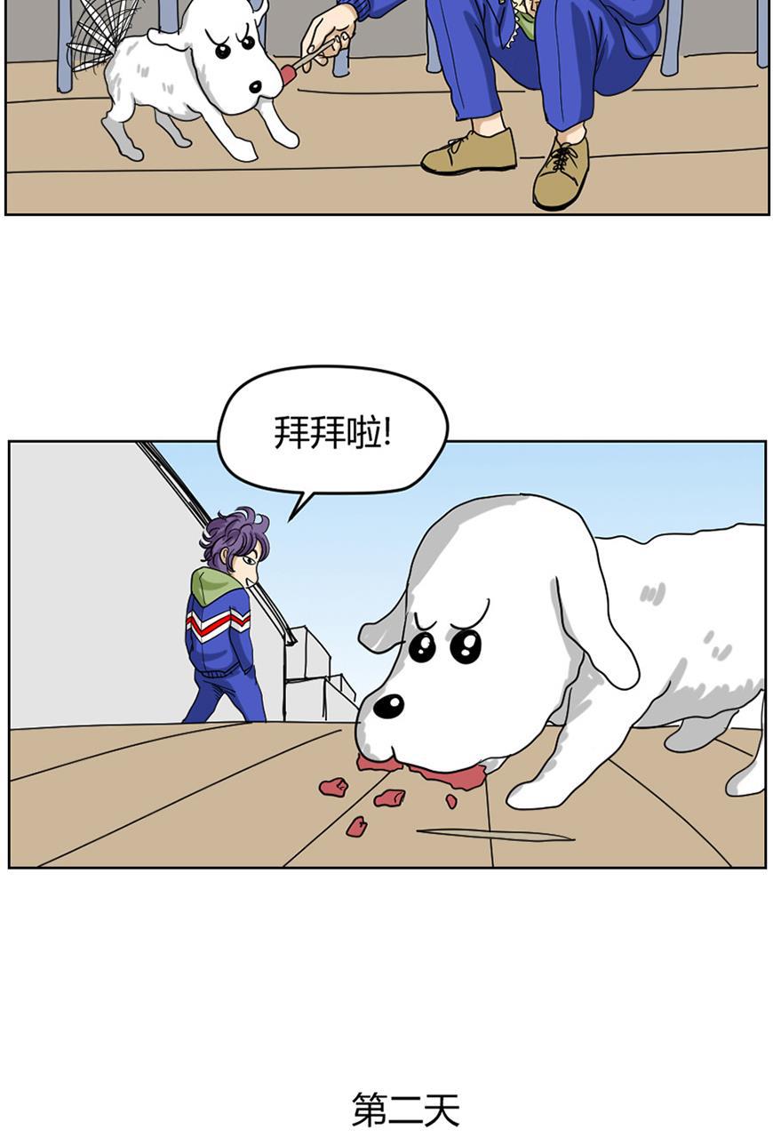 狂野情人漫画-[第78话] 狗与我全彩韩漫标签