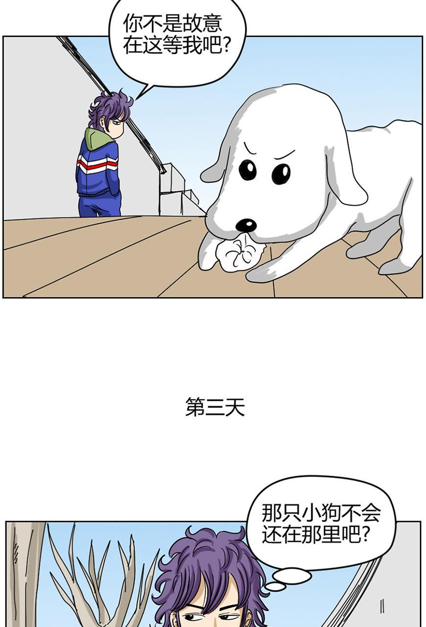 坏学生韩漫全集-[第78话] 狗与我无删减无遮挡章节图片 