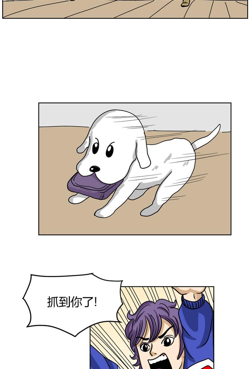 坏学生韩漫全集-[第78话] 狗与我无删减无遮挡章节图片 