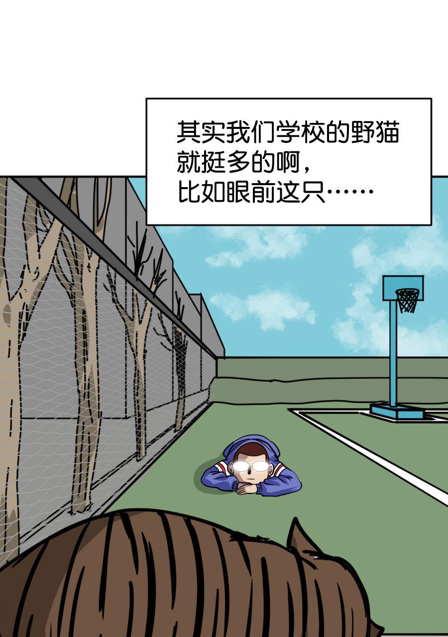 坏学生韩漫全集-[第164话] 猫的报恩无删减无遮挡章节图片 
