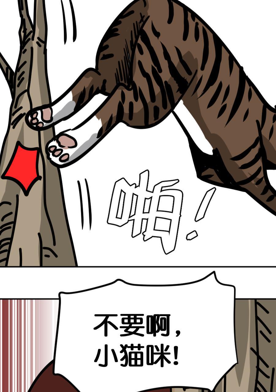 坏学生韩漫全集-[第164话] 猫的报恩无删减无遮挡章节图片 