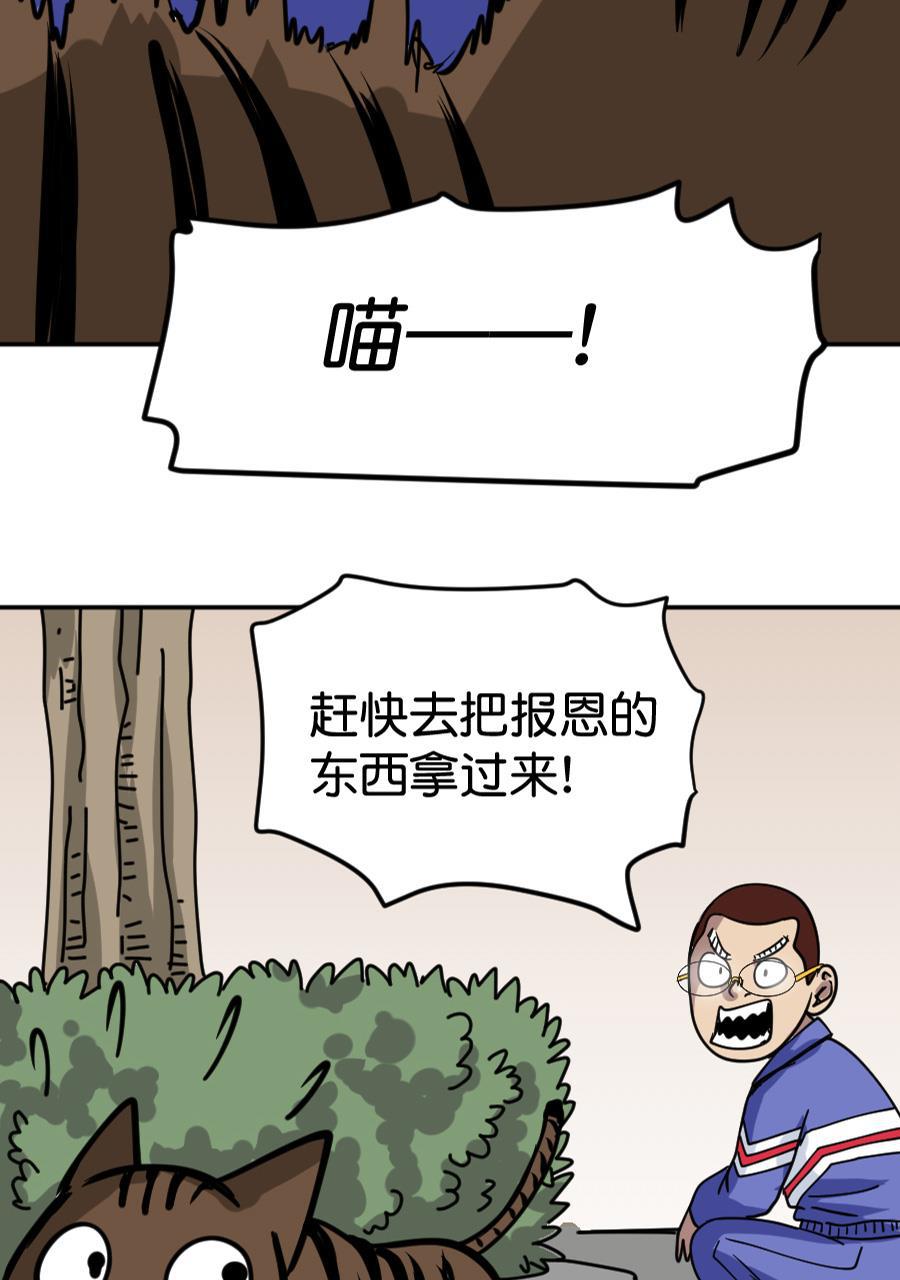 坏学生韩漫全集-[第164话] 猫的报恩无删减无遮挡章节图片 