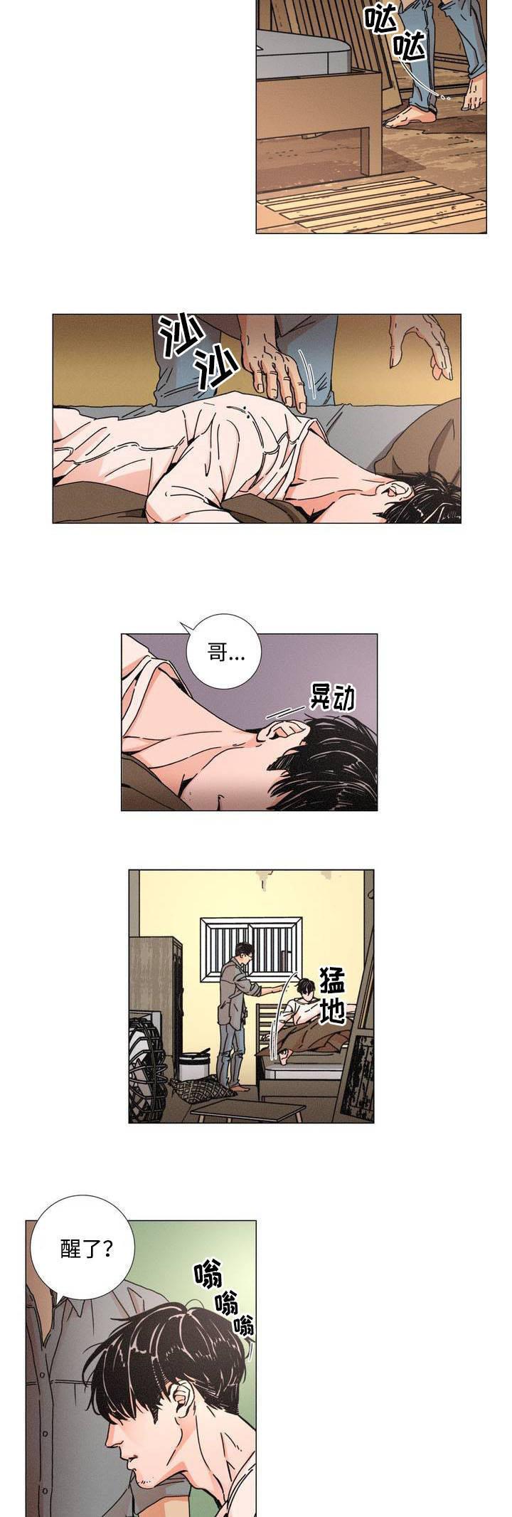 堕落刑警韩漫全集-第1话无删减无遮挡章节图片 