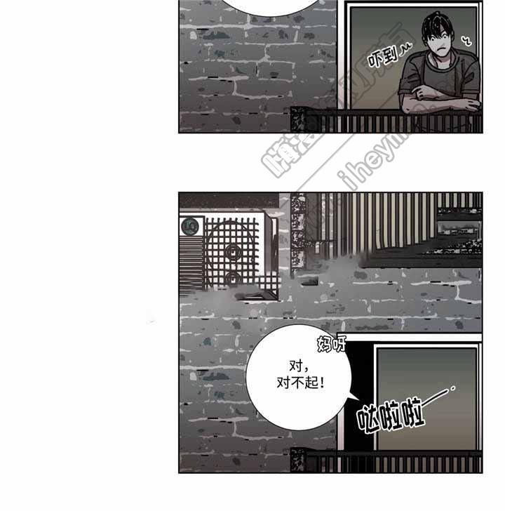 堕落刑警韩漫全集-第5话无删减无遮挡章节图片 