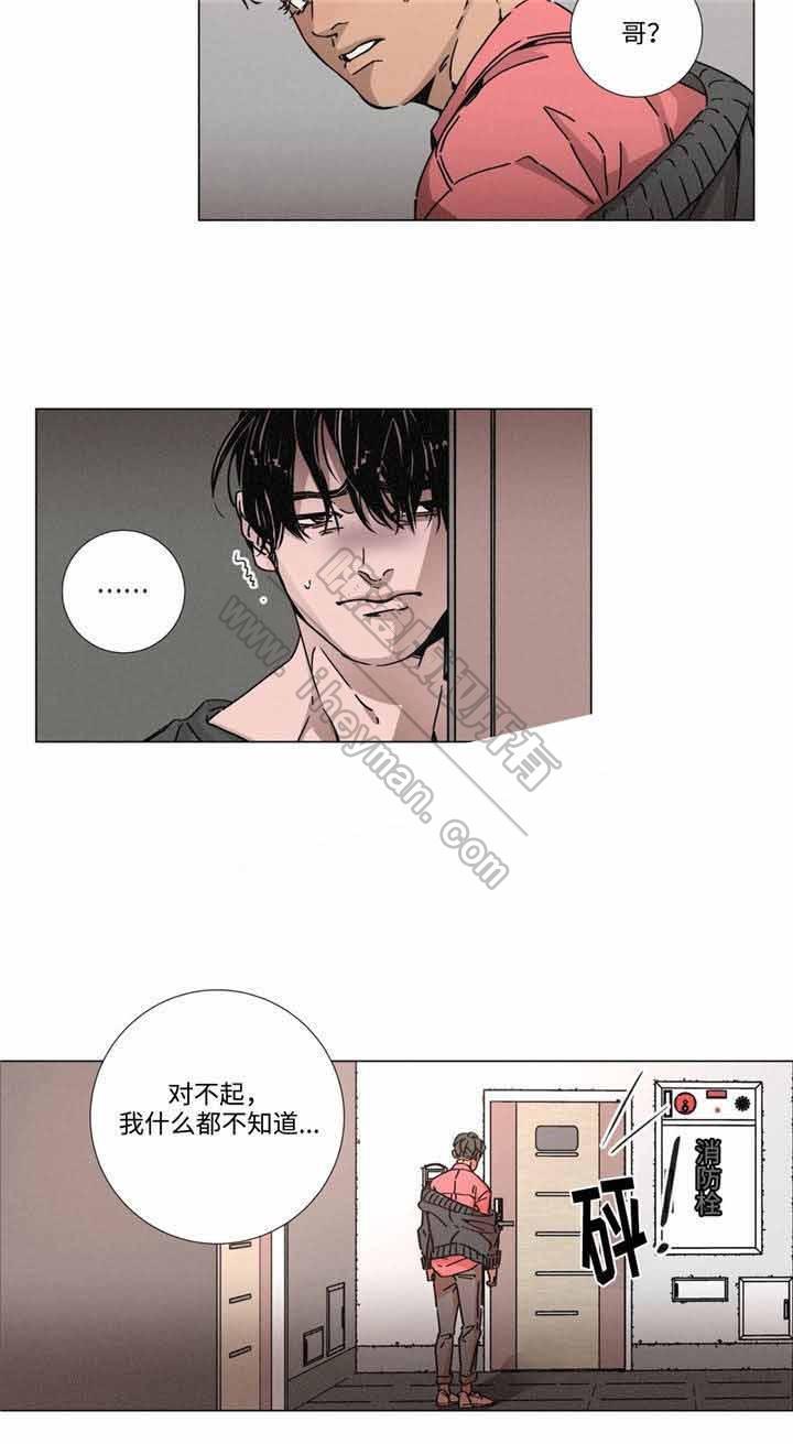 堕落刑警韩漫全集-第11话无删减无遮挡章节图片 