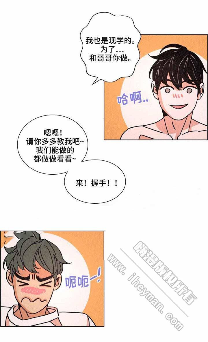 堕落刑警韩漫全集-第29话无删减无遮挡章节图片 