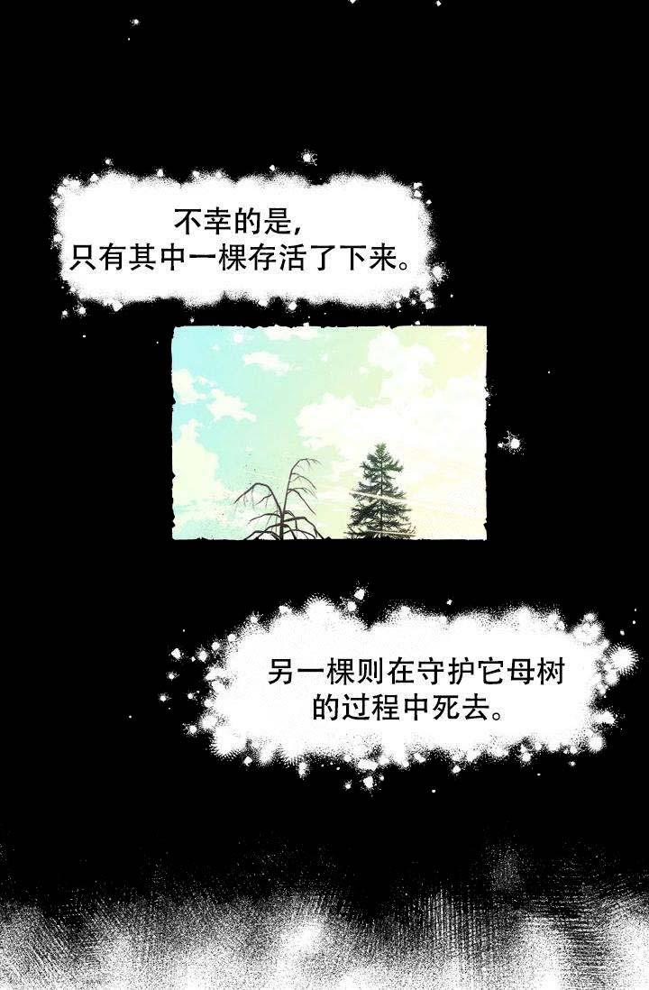 守护猫娘绯鞠漫画-第1章全彩韩漫标签