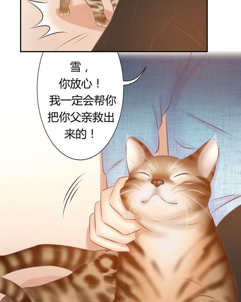 契约凤凰男韩漫全集-第17话 王科表心意无删减无遮挡章节图片 