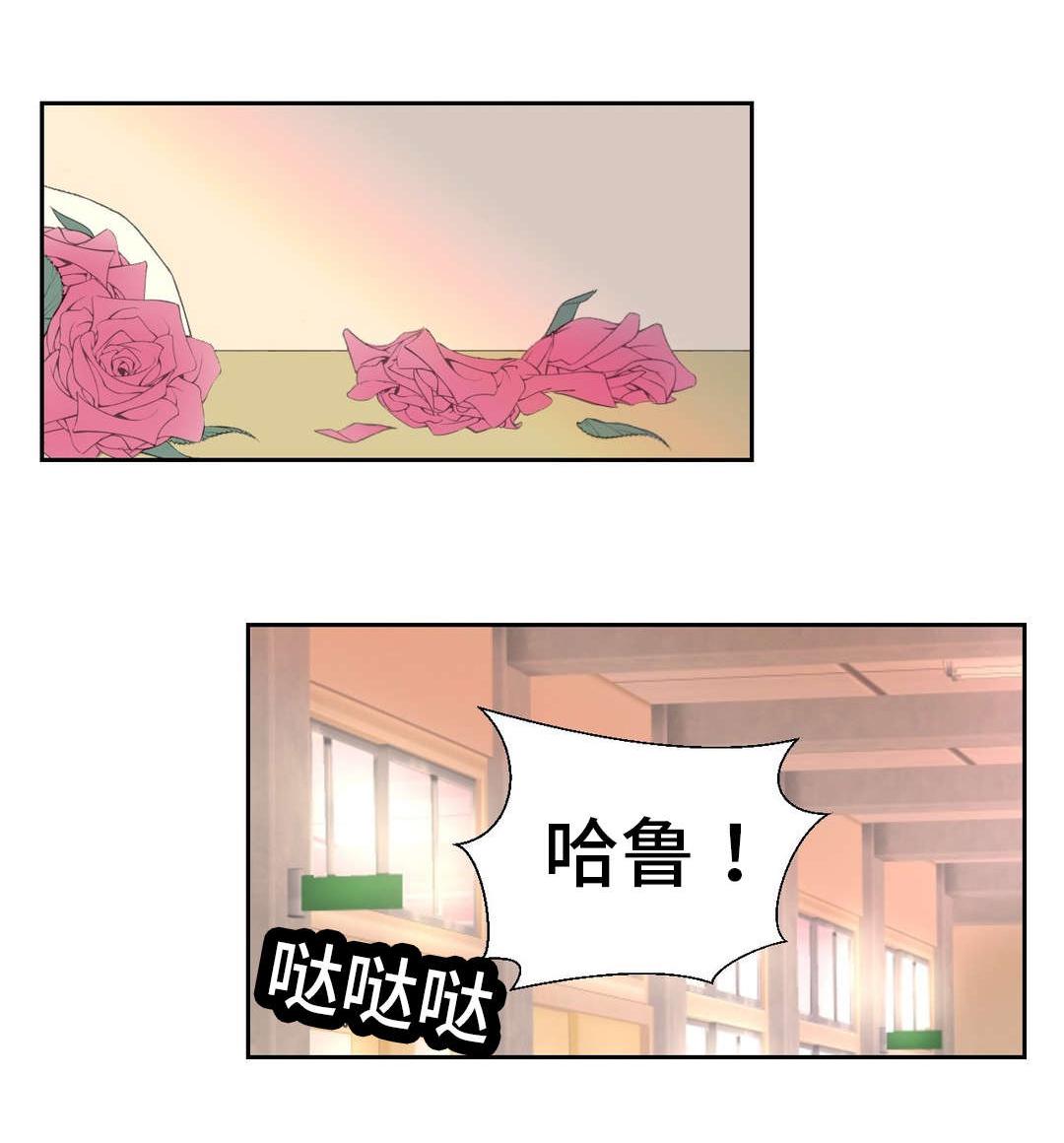歪果仁漫画-第40话全彩韩漫标签