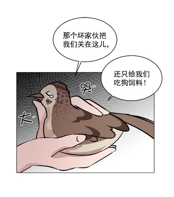 全金属狂潮漫画-第59话全彩韩漫标签