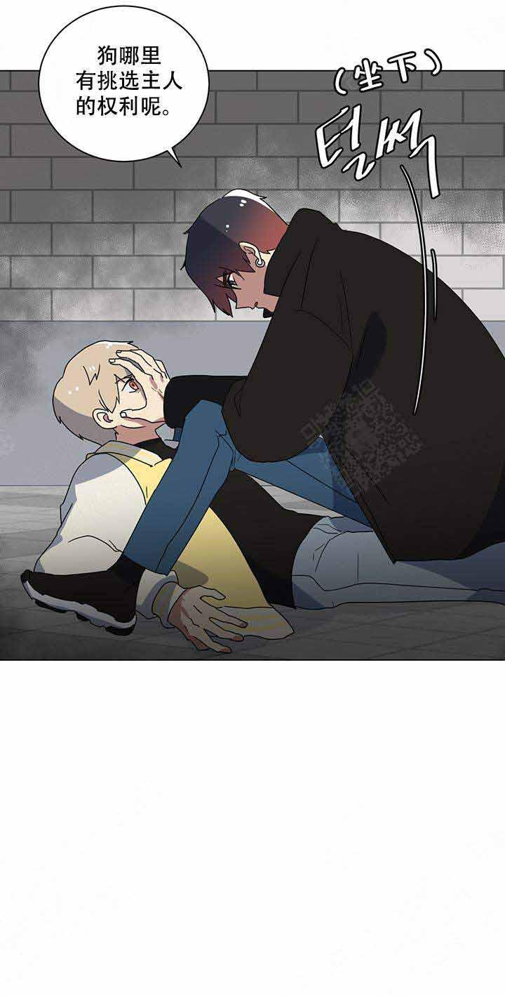 就算是谎言韩漫全集-第5话无删减无遮挡章节图片 
