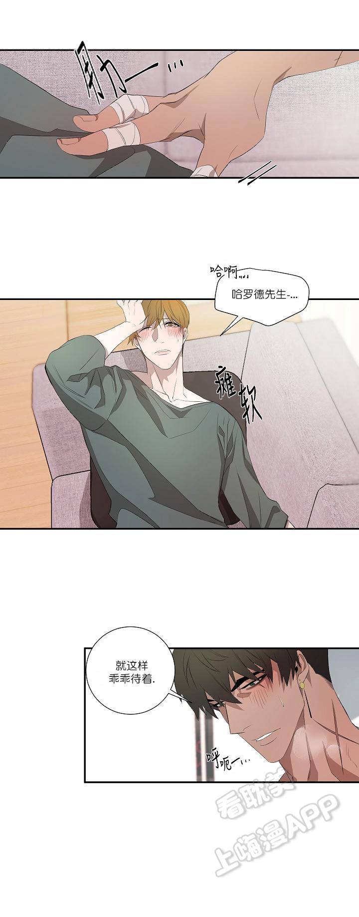 常青韩漫全集-第41话无删减无遮挡章节图片 