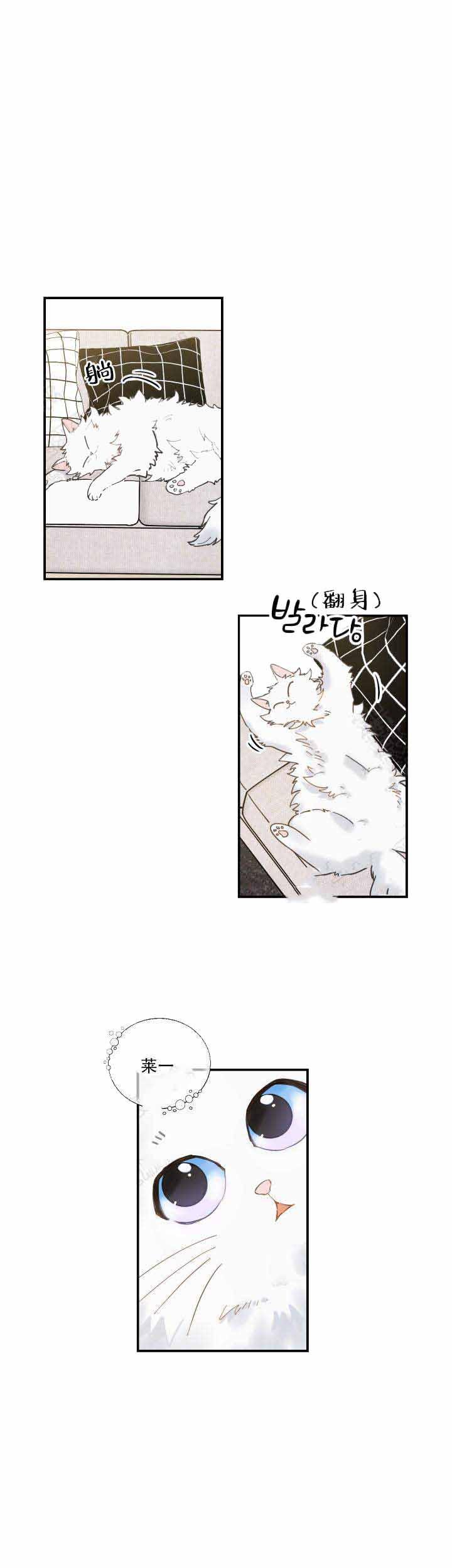 暗杀教室漫画-第4话全彩韩漫标签