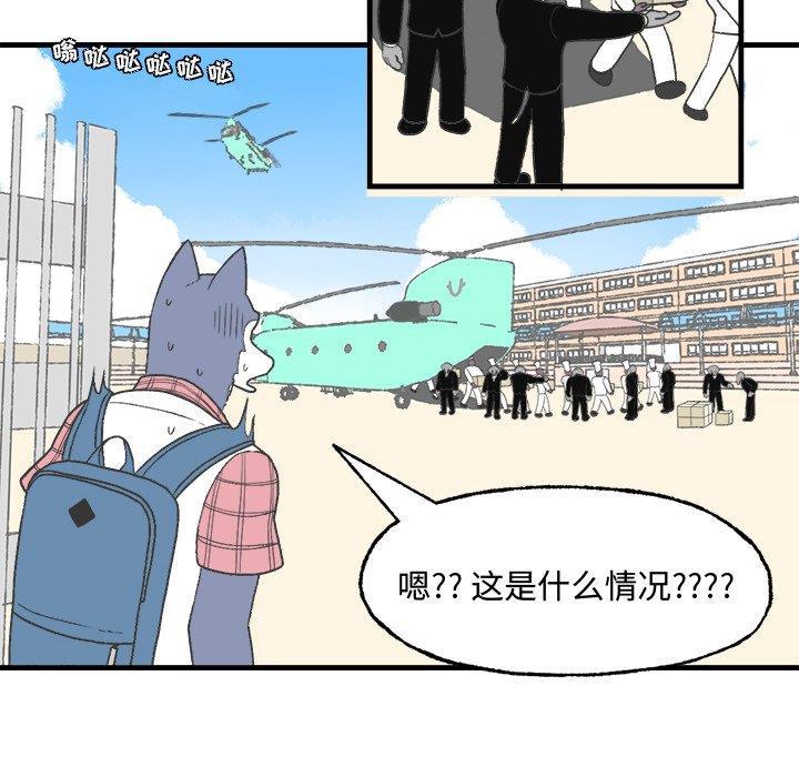 Welcome to 草食高中韩漫全集-第13话无删减无遮挡章节图片 