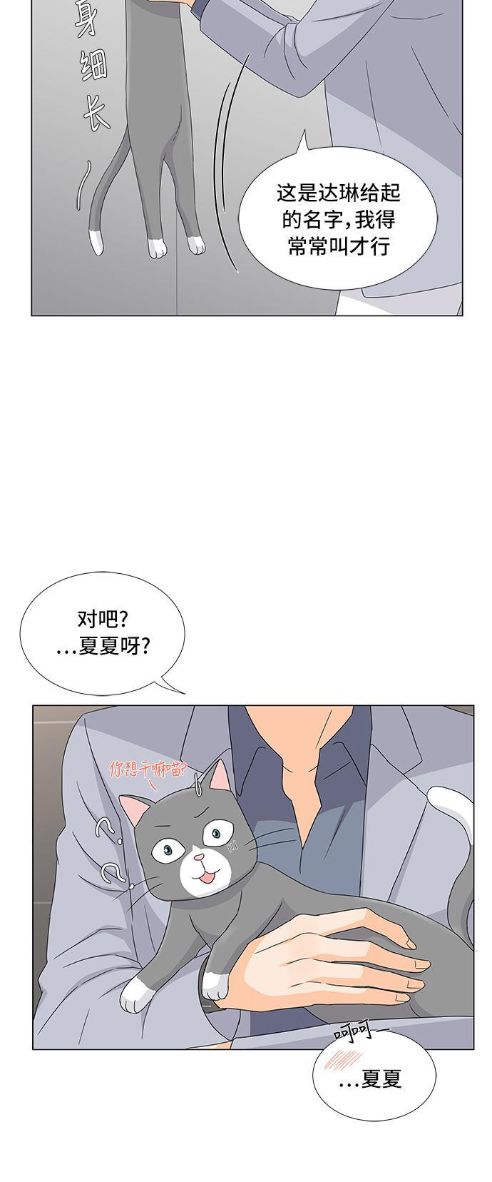 我的偶像总裁韩漫全集-第14话无删减无遮挡章节图片 