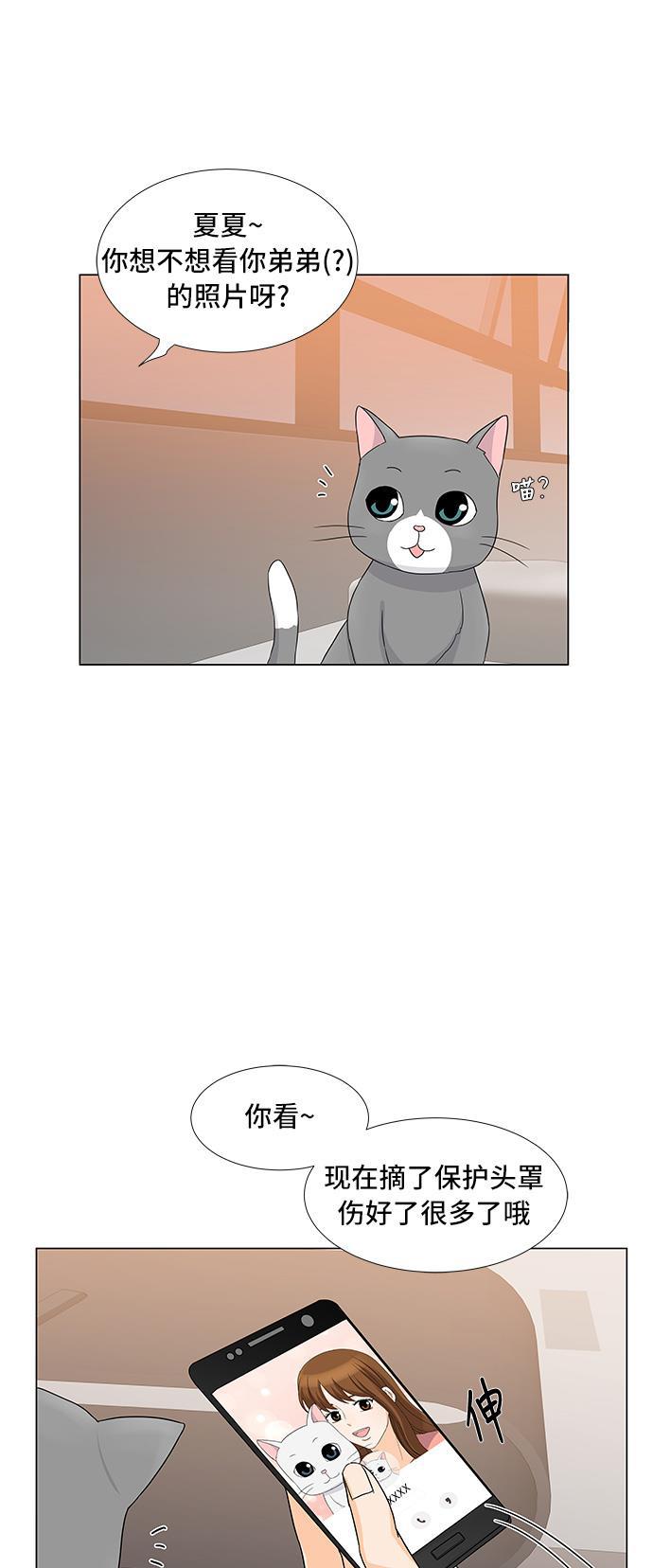 我的偶像总裁韩漫全集-第16话无删减无遮挡章节图片 