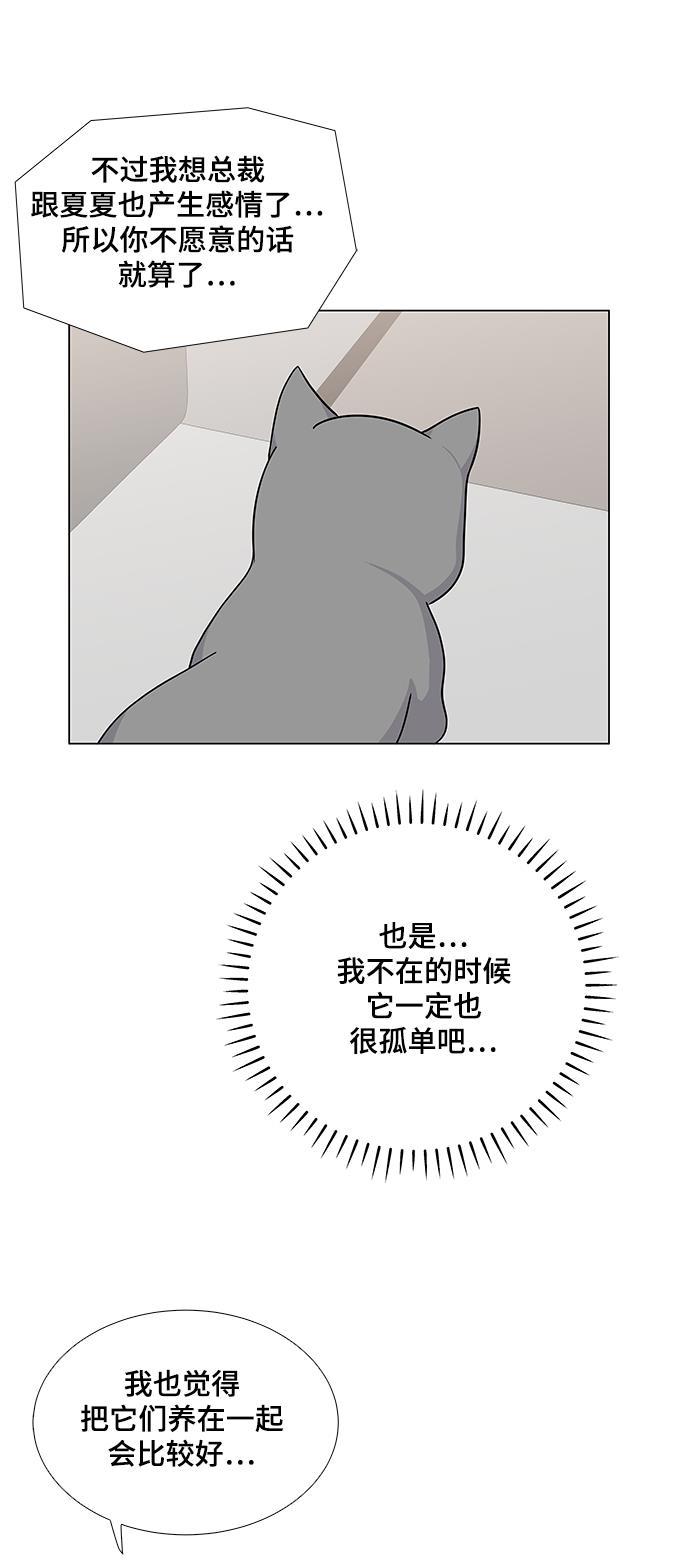 我的偶像总裁韩漫全集-第34话无删减无遮挡章节图片 