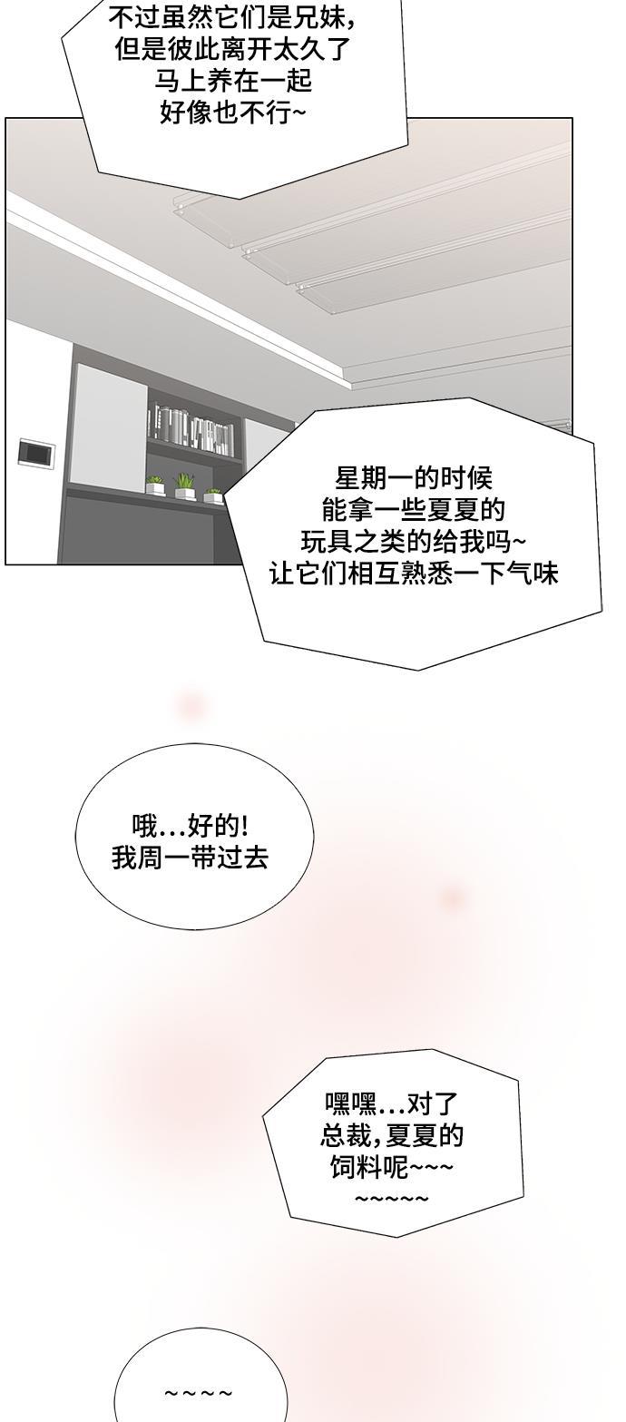 我的偶像总裁韩漫全集-第34话无删减无遮挡章节图片 