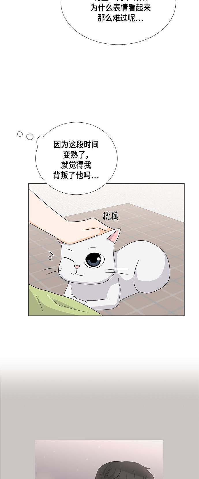 我的偶像总裁韩漫全集-第38话无删减无遮挡章节图片 
