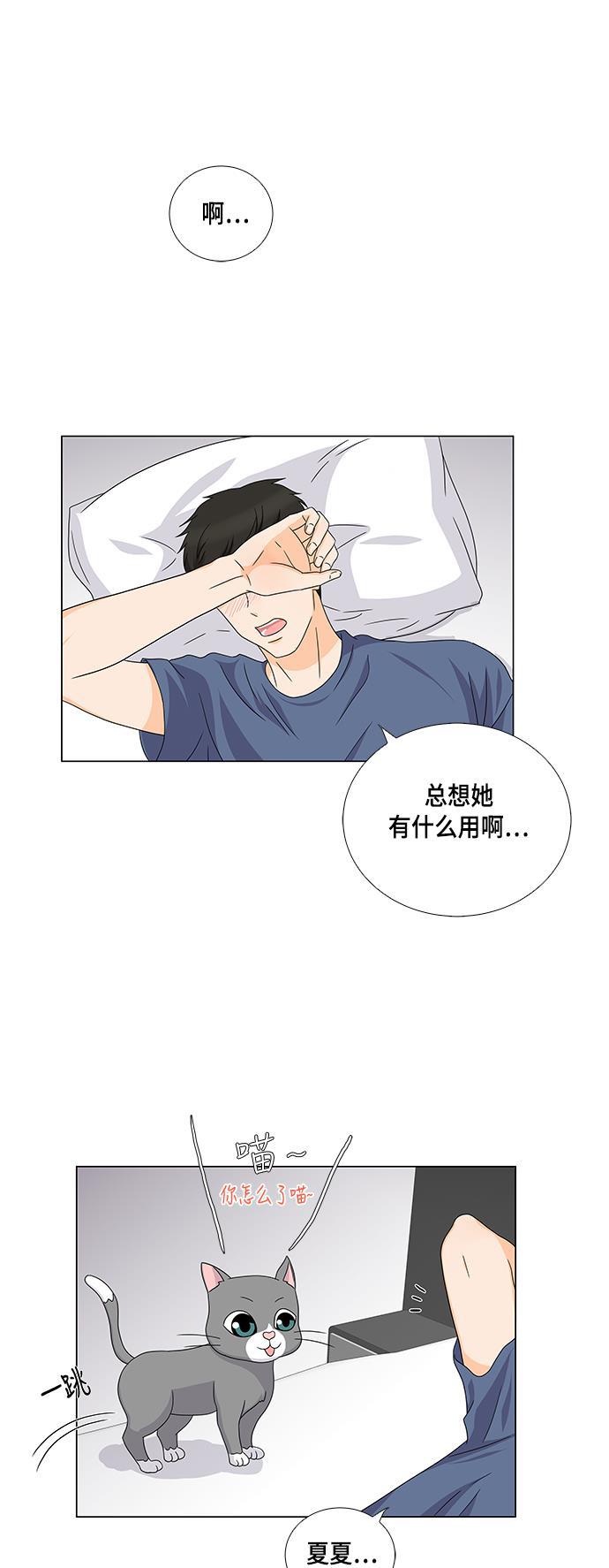 我的偶像总裁韩漫全集-第39话无删减无遮挡章节图片 