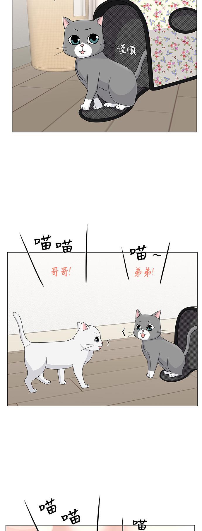 我的偶像总裁韩漫全集-第46话无删减无遮挡章节图片 