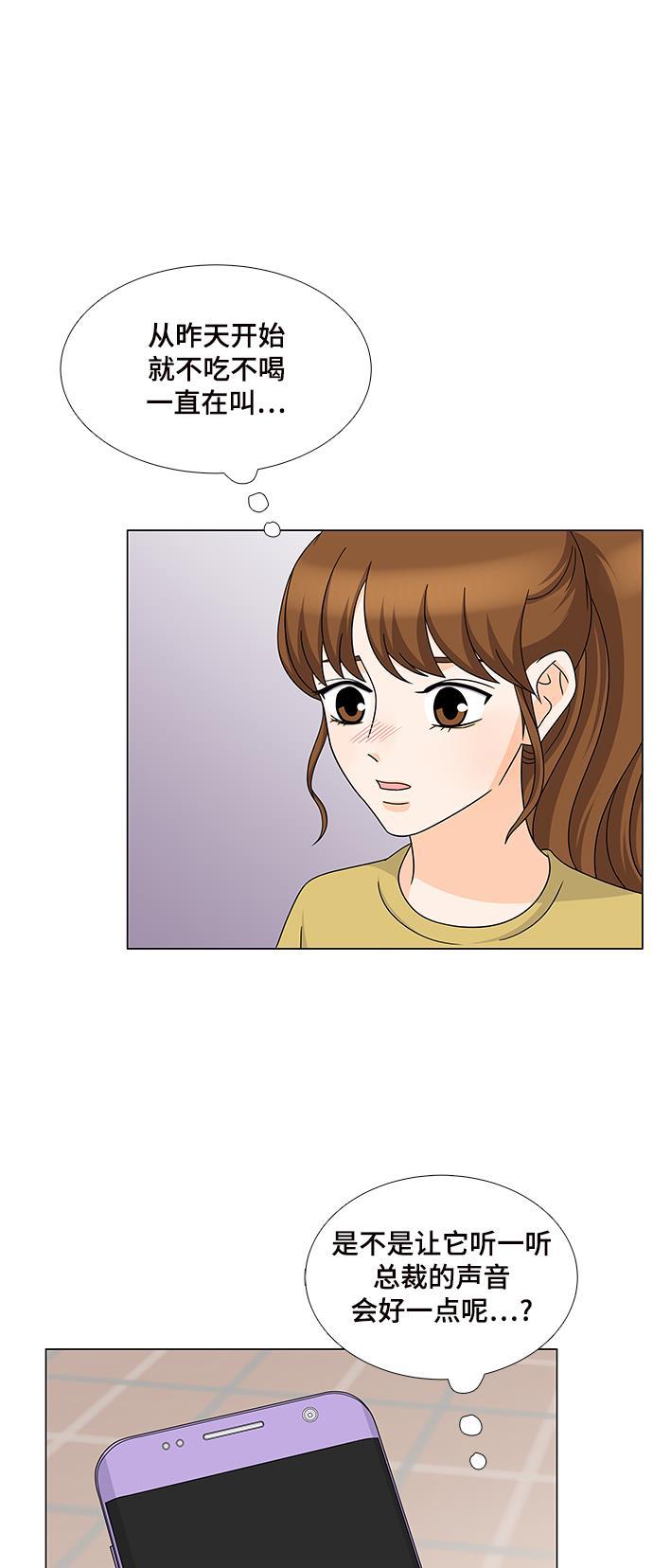 我的偶像总裁韩漫全集-第47话无删减无遮挡章节图片 