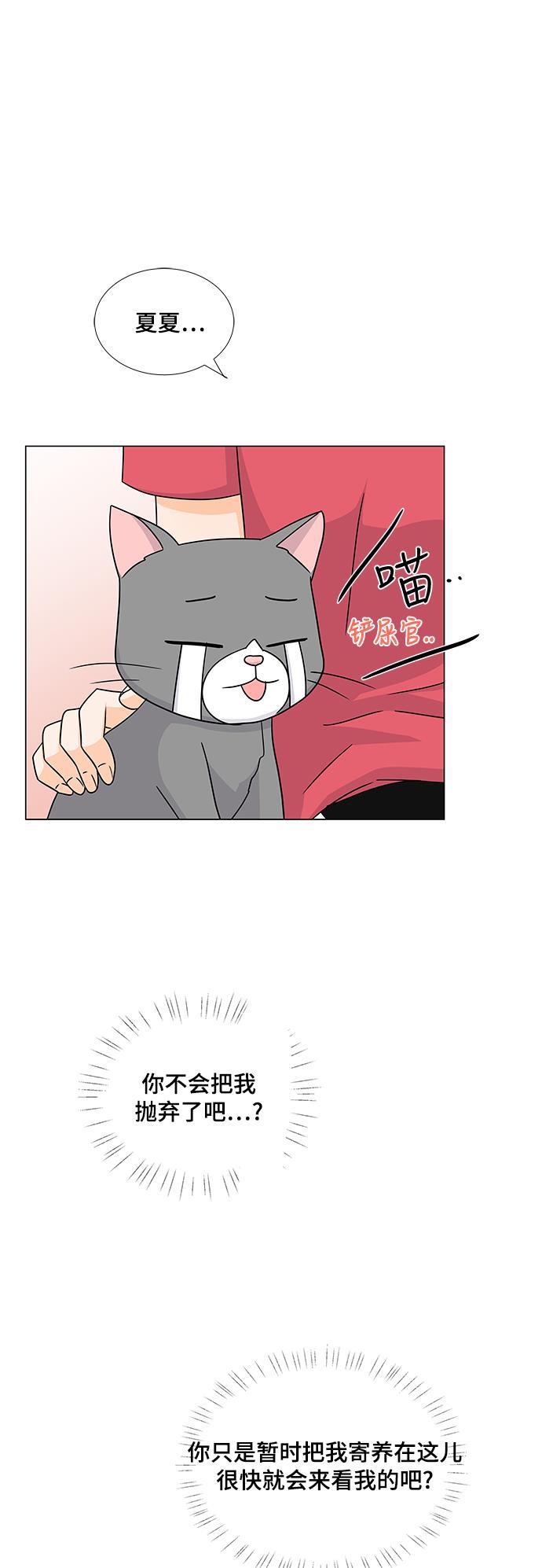 我的偶像总裁韩漫全集-第49话无删减无遮挡章节图片 