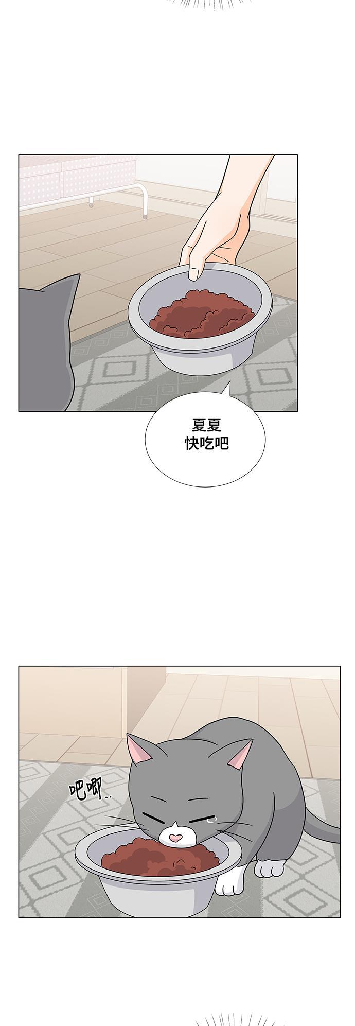 我的偶像总裁韩漫全集-第49话无删减无遮挡章节图片 