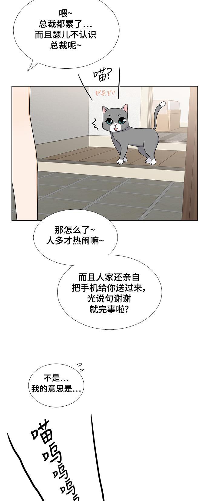 我的偶像总裁韩漫全集-第51话无删减无遮挡章节图片 