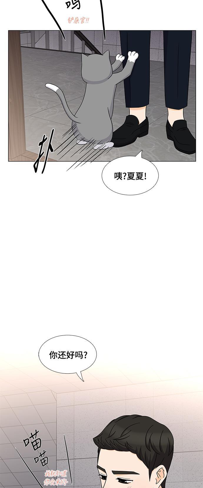 我的偶像总裁韩漫全集-第51话无删减无遮挡章节图片 