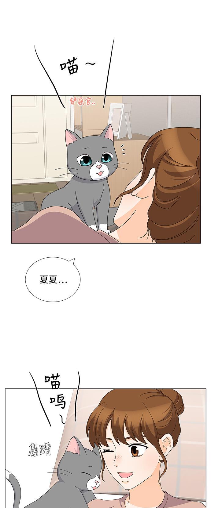 我的偶像总裁韩漫全集-第84话无删减无遮挡章节图片 