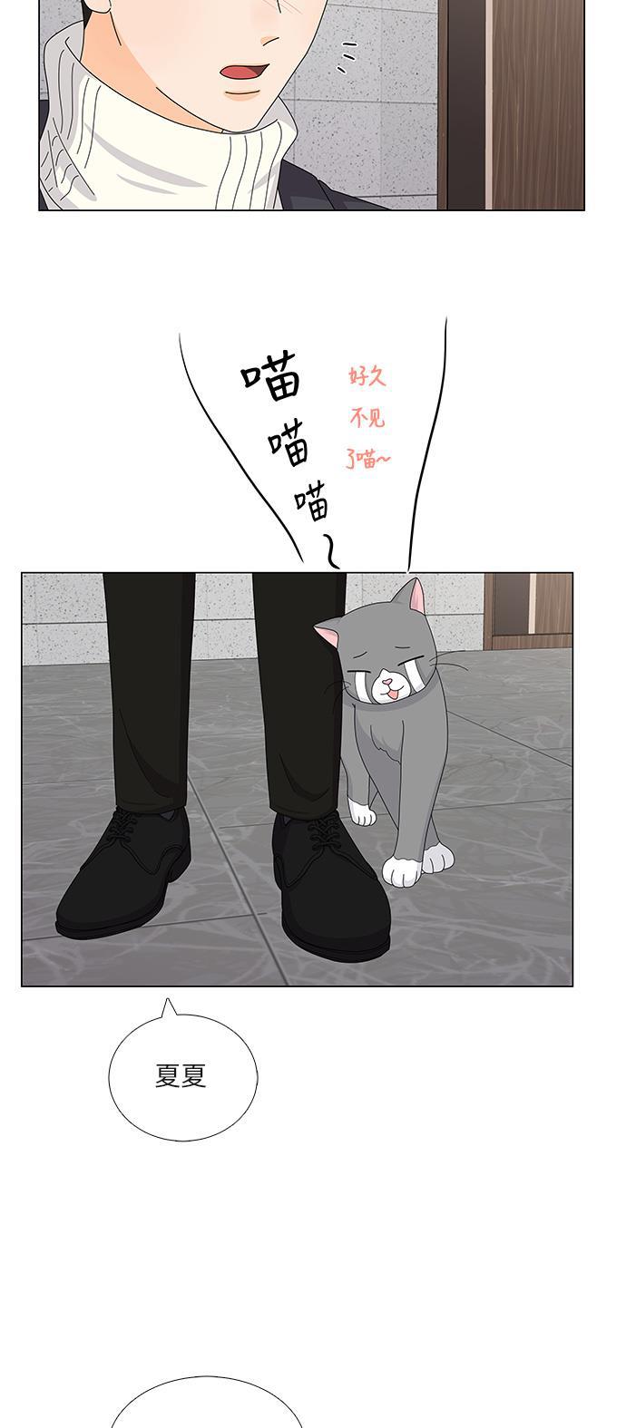我的偶像总裁韩漫全集-第92话无删减无遮挡章节图片 