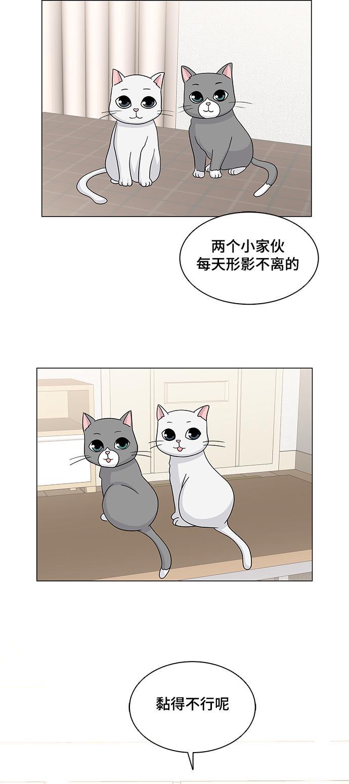 我的偶像总裁韩漫全集-第59话无删减无遮挡章节图片 