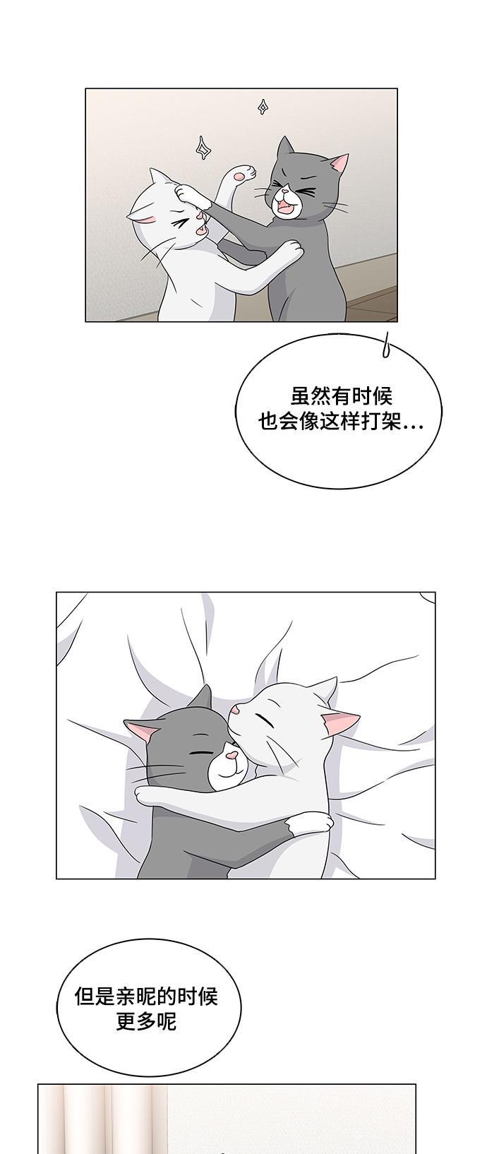 我的偶像总裁韩漫全集-第59话无删减无遮挡章节图片 