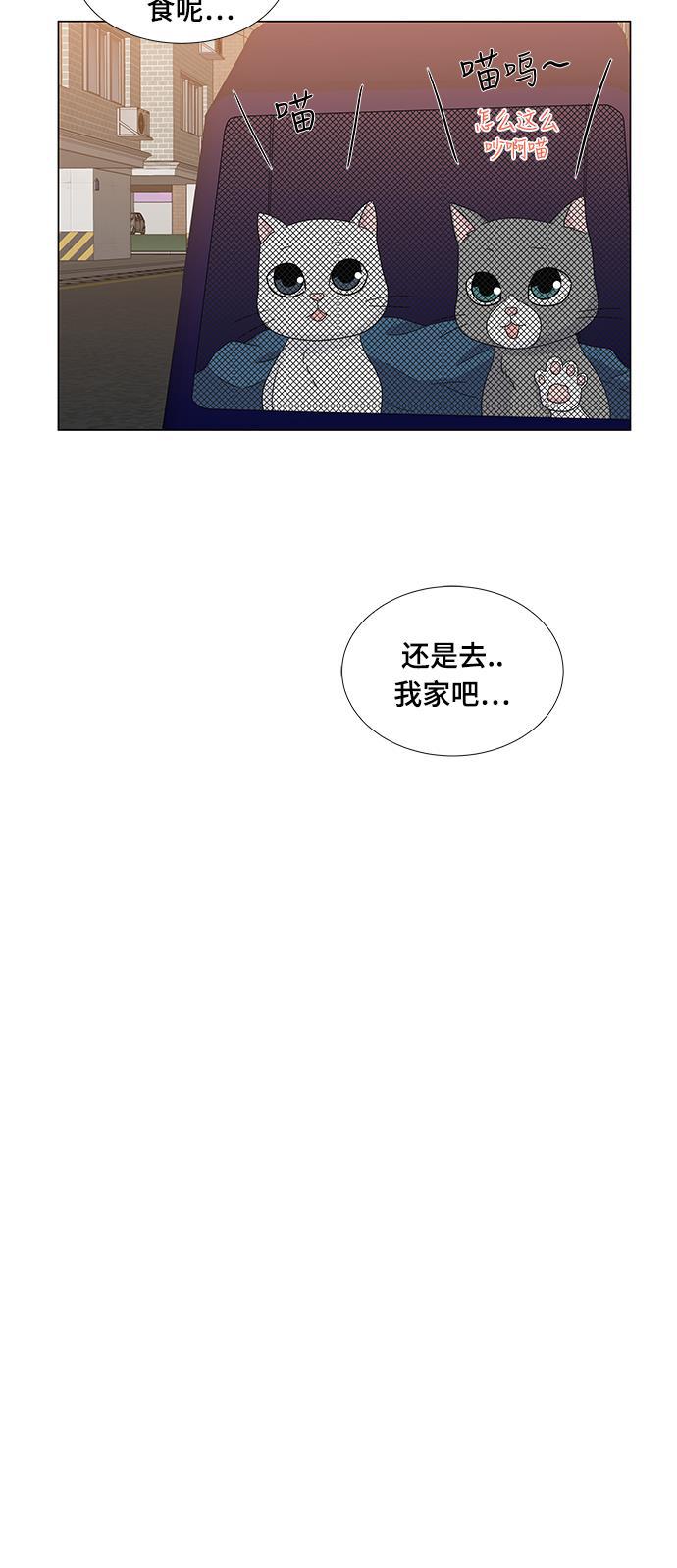 我的偶像总裁韩漫全集-第65话无删减无遮挡章节图片 