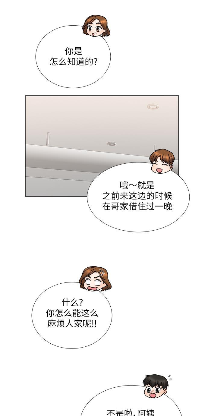 我的偶像总裁韩漫全集-第127话 番外3无删减无遮挡章节图片 