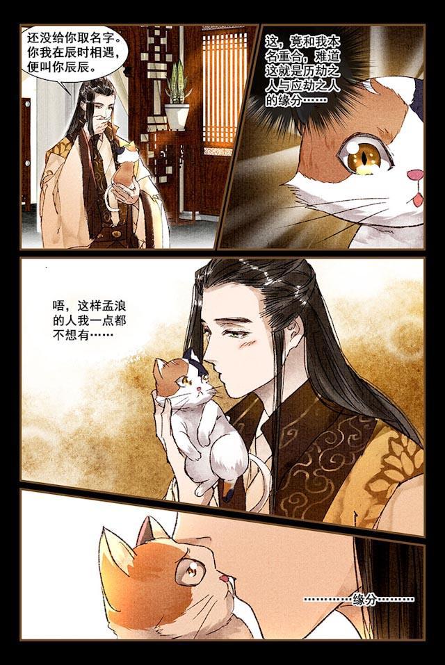 我的猫咪上仙韩漫全集-5_5话无删减无遮挡章节图片 
