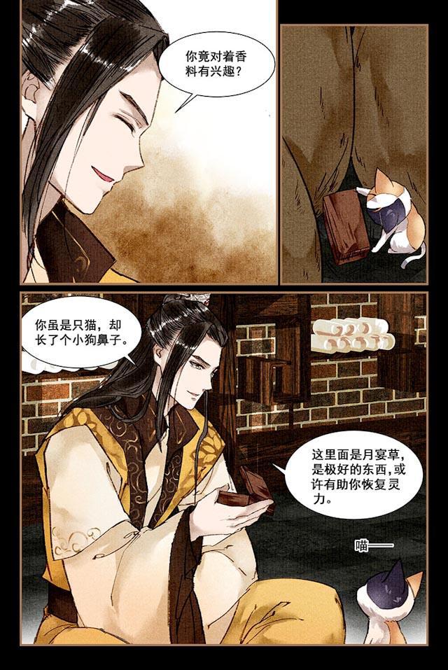 我的猫咪上仙韩漫全集-8_8话无删减无遮挡章节图片 