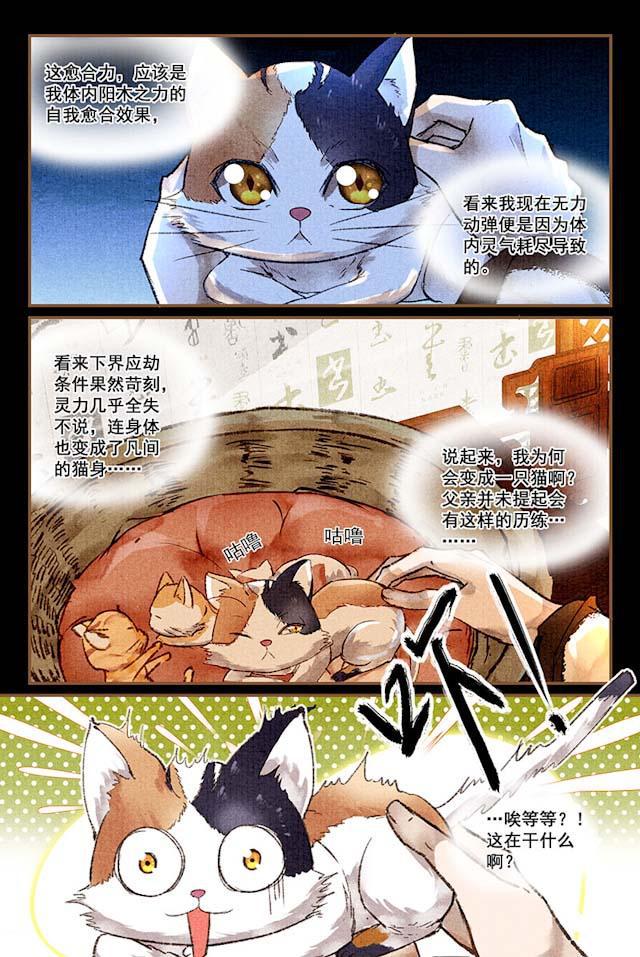 我的猫咪上仙韩漫全集-4_4话无删减无遮挡章节图片 