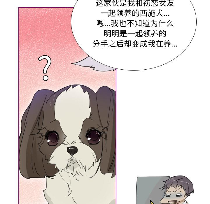 我的猫狗女友韩漫全集-第1话无删减无遮挡章节图片 